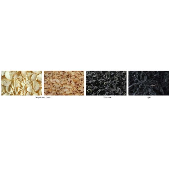 600mm Belt Potato Grading Equipment For Fruits And Vegetables