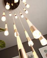 Home Luxury Decorative Modern Villa Living Room Hotel Hanging Pendant Light Aluminum Round LED Patch Bulb Type Double Head Fried Flower Bubble Chandelier