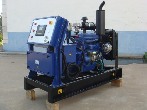 CE/ISO Certified 10kw 15kw 22kw Small Biogas Gas Electricity Generator Cogeneration Plant