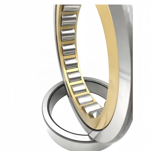 NU/NJ/NF211EM Cylindrical Roller Bearing 50*100*21mm with Long Life and Low