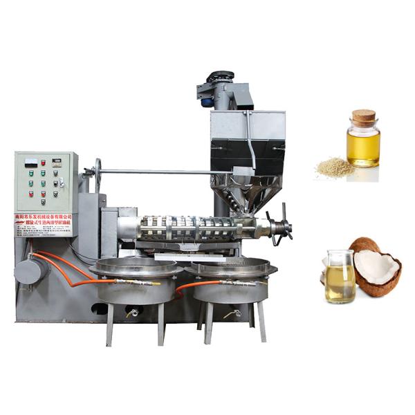 Industrial Screw Oil Press Machine Camellia Oil Making Machine Cold Press / Hot Press
