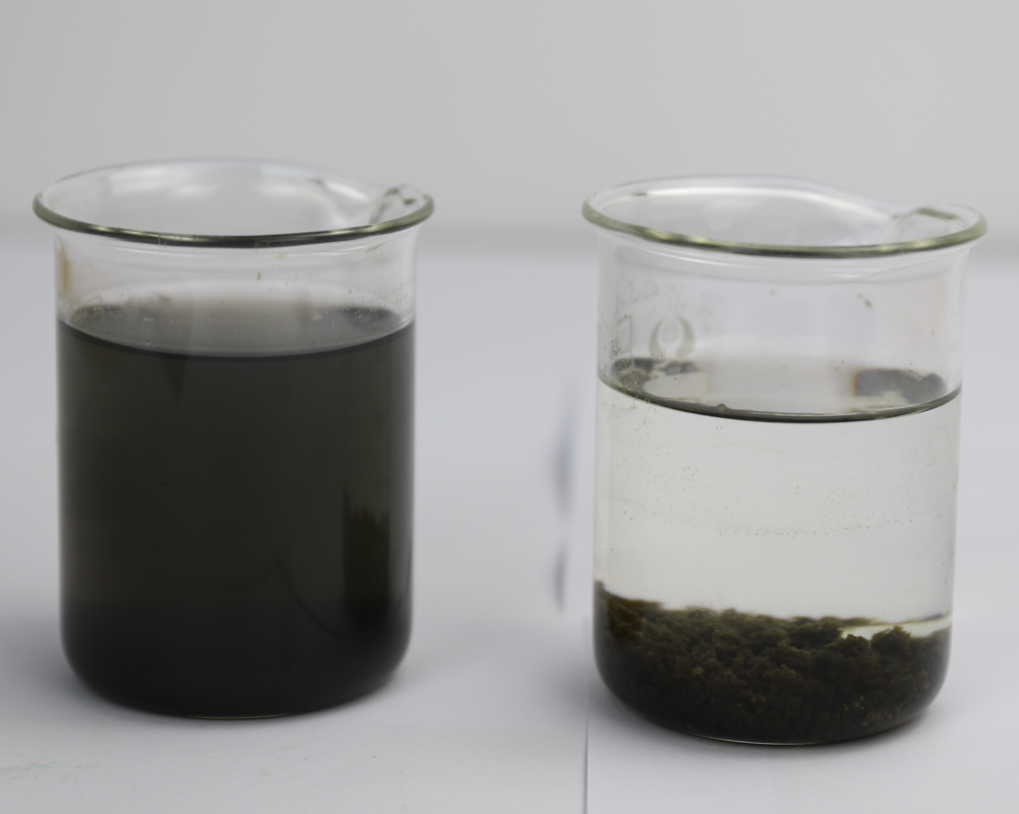 50-60% Charge Degree Alumina Processing Red Sludge Thickening Agent Flocculant