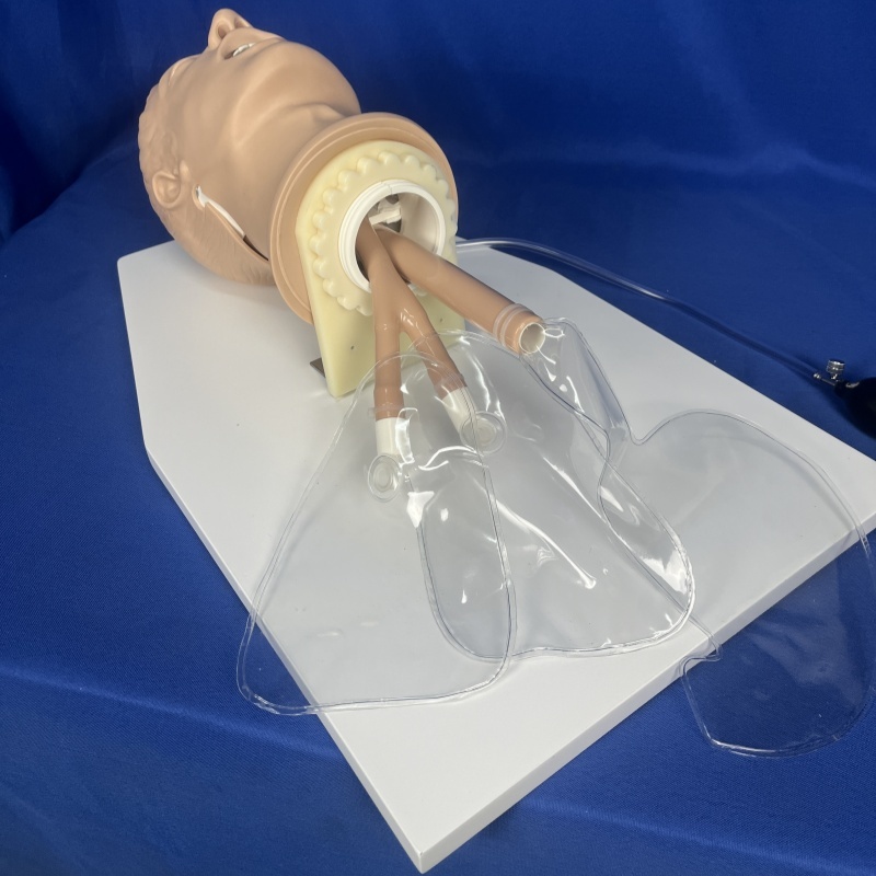 Kingpo Brand Plastic Material Simulated Patient Head with ISO 9360-2-figure 1 Standard and 1 Year Warranty