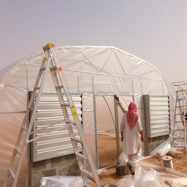 PE Cooling System Agricultural Greenhouse Flower Growing Galvanized Steel Greenhouse
