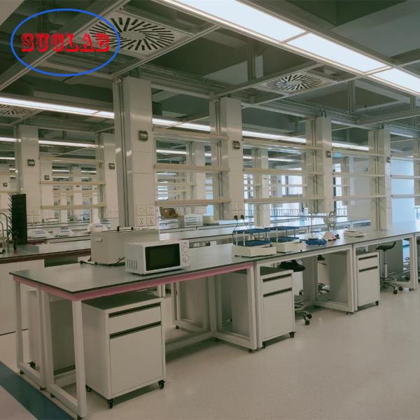 O estilo o mais atrasado personalizou fabricantes de madeira de aço feitos dos sistemas da mobília do banco de laboratório