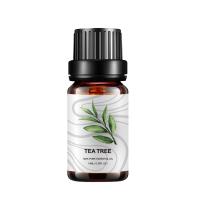 COA maioria puro do óleo essencial da aromaterapia do difusor do óleo essencial 10ml da árvore do chá
