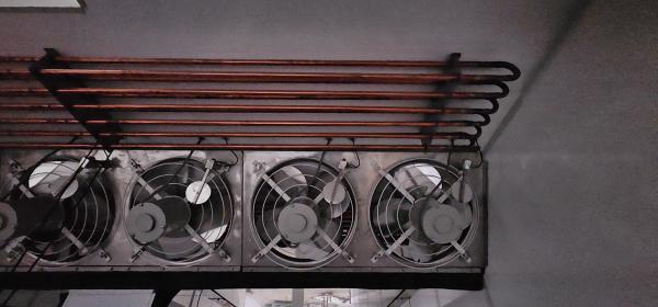 incubateur industriel de 100000 œufs