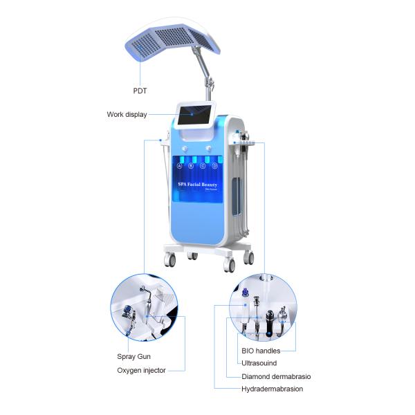 Hot Selling 8 Head Facial Beauty Machines Professional Portable Oxygen Facial Machine