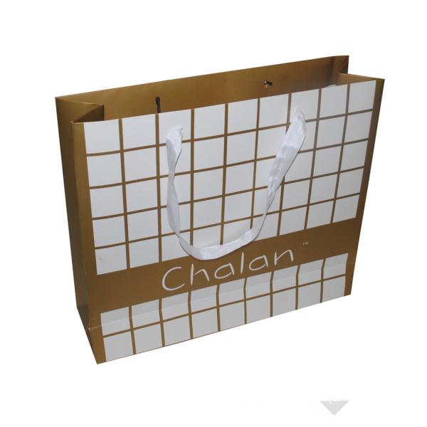 Paper bag, gift bag, packing bag, shopping paper bag