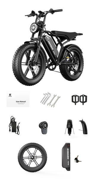 V20 20inch Electric Bike 48V 15Ah Steel Frame Fatbike 750w Lithium Battery LCD Rear Hub Motor 20 Inch 7 Speed V20 Pro