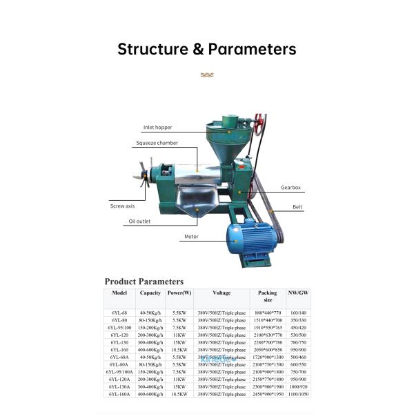 KG Industrial Oil Extractor High Oil Yield Cold Pressed Rosehip Oil Press Automatic Moringa Oil Pressers Pressing Machine