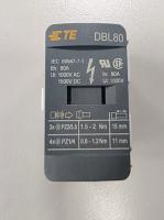 Entrelec Bloque TE Productos dinámicos DBL80 1SNL308010R0000