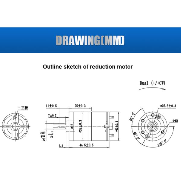 Factory Wholesale Customized FT-32RGM500 12V 24V  32mm Spur Gearbox High Speed Dc Gear Motor