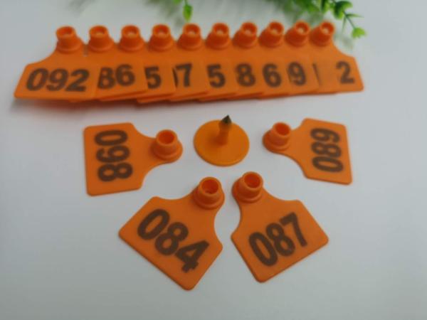 Two Side Shape Ordinary Livestock Ear Tags Small Size TPU Material For Pig
