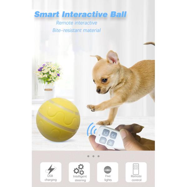 Cat Dogs Activated USB Rechargeable Indoor Wicked Ball for Small Medium Large