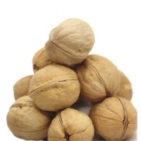 Noix actuelle nouvelle récolte en coquille meilleur choix Noix, qualité numéro un - Emballé dans un sac/boîte de 5 lbs. (80 oz.)