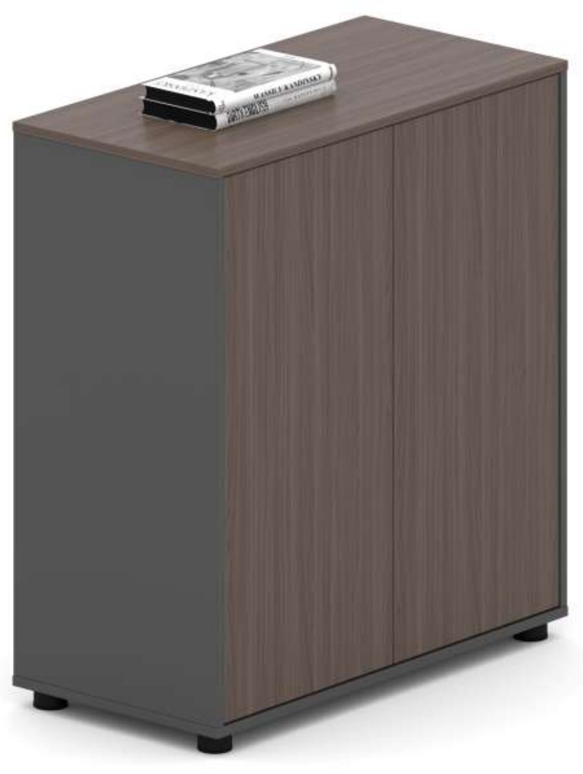 Double Door Metal Office Storage Cabinets Modern Minimal Design