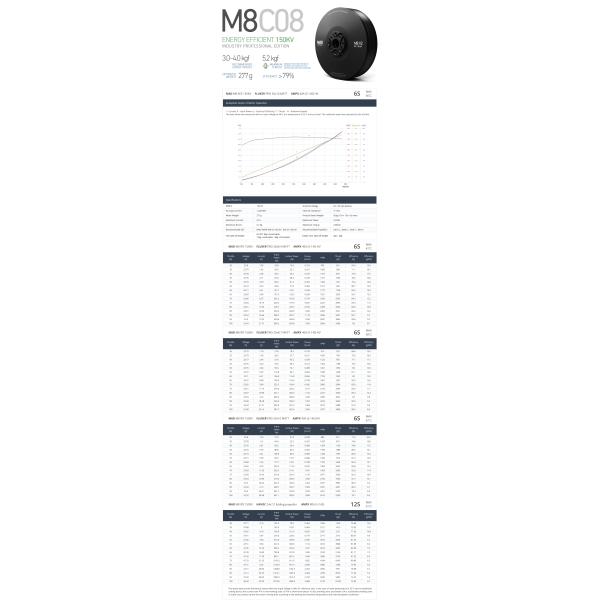 M8CO8 IPE V2 Brushless DC Motor for Industrial