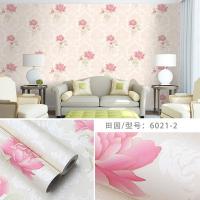 Waterproof PVC Self-Adhesive Wallpaper for Children's Room Design Cartoon Wall Stickers