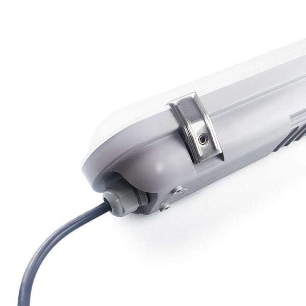 Eye Catching LED Indoor Light with Frosted/Clear PVC Cover and RGB Color Changing Display