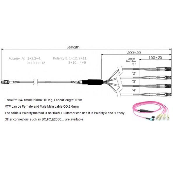 8F MTP OM3 Fiber Optic MTP-LC 2.0mm Straight Harness Cable for High-Density Data Center Applications