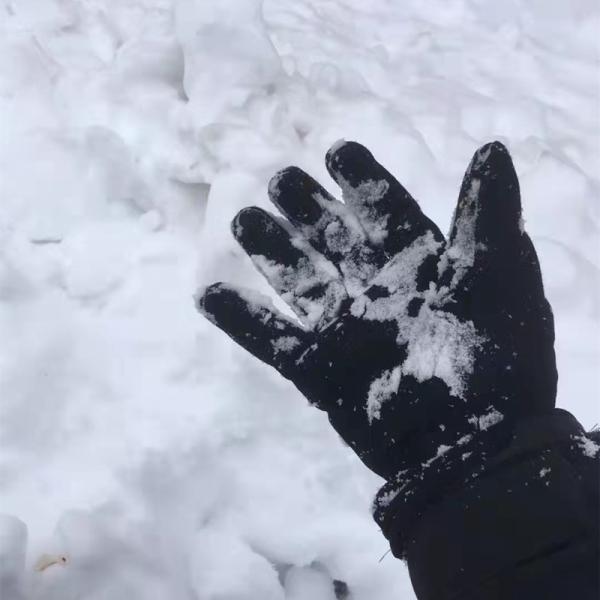 Fiber Synthetic Cotton Waterproof Riding Gloves Anti Slip Plain Dyed