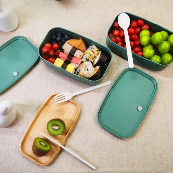 Customized Color Dual Tier Bamboo Lid Lunch Box for Large Capacity Portable Bento Box