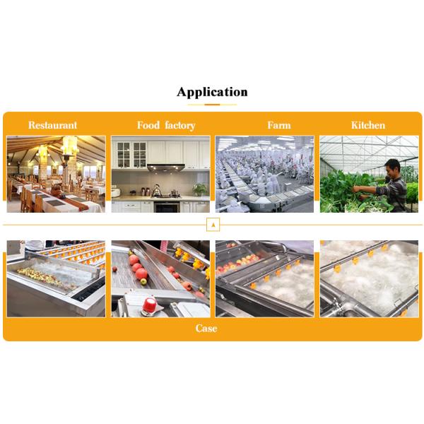 100-500kg/H Ozone Fruit And Vegetable Washer For Cleaning Carrots And Cassava