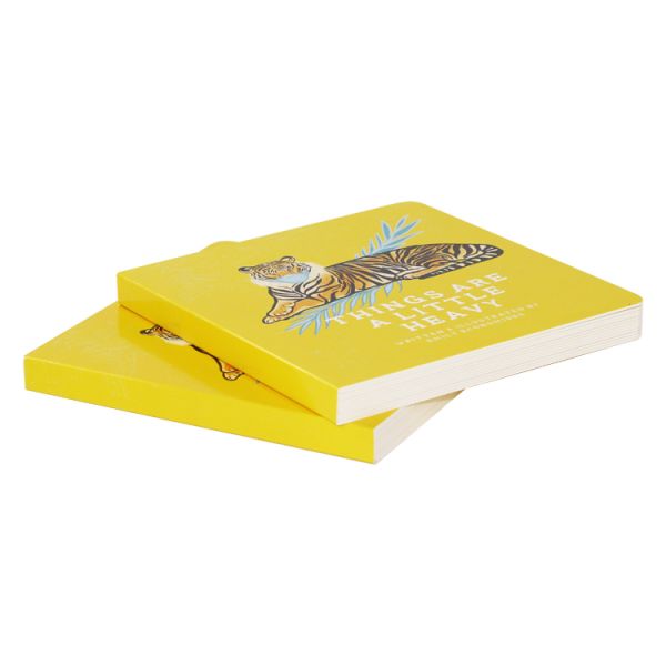 Full Color Cardboard Childrens Book Lithographic Printing Custom Hard Cover Book