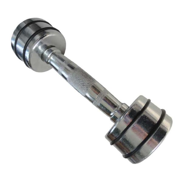 Home Stainless Steel Dumbbell Set Rotate Chrome 20kg Gymnasium Iron