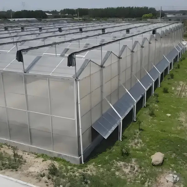 Polycarbonate Venlo Greenhouse for Flower Hydroponics Durable