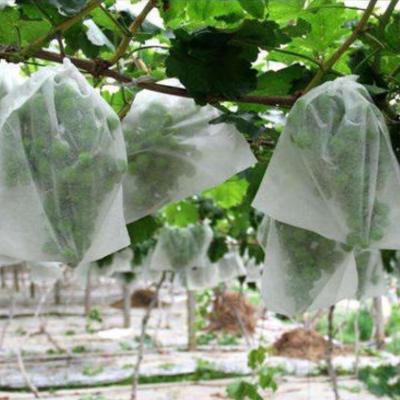 Anti Virus Defense Material S SS Non Woven Spunbond Fabric With Custom Options