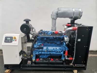Biogas 100kw Natural Gas Generator Smartgen Generator Water Cooling System