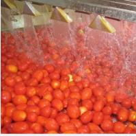 Chaîne de fabrication automatique grande vitesse de sauce tomate