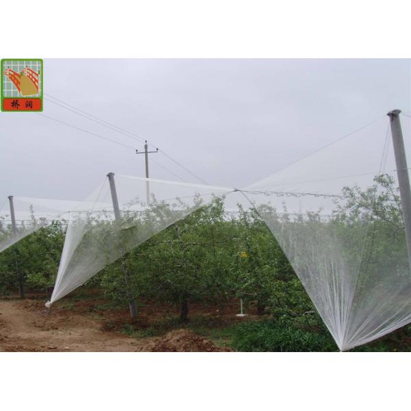 10mm * 10mm PE 50g / Sqm Agricultural Netting
