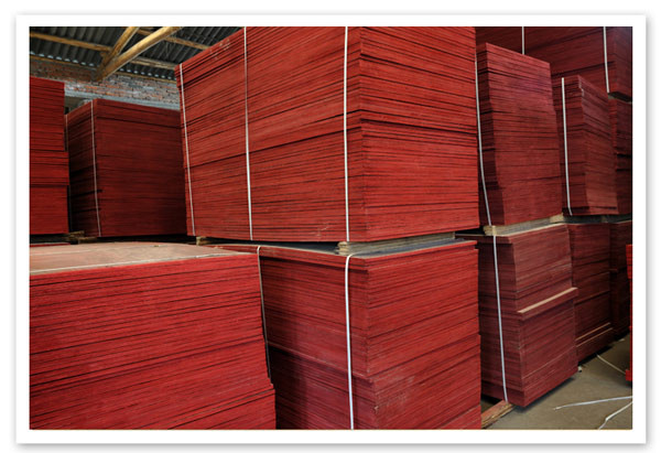 birch film faced plywood with MR/MELAMINE/WBP glue
