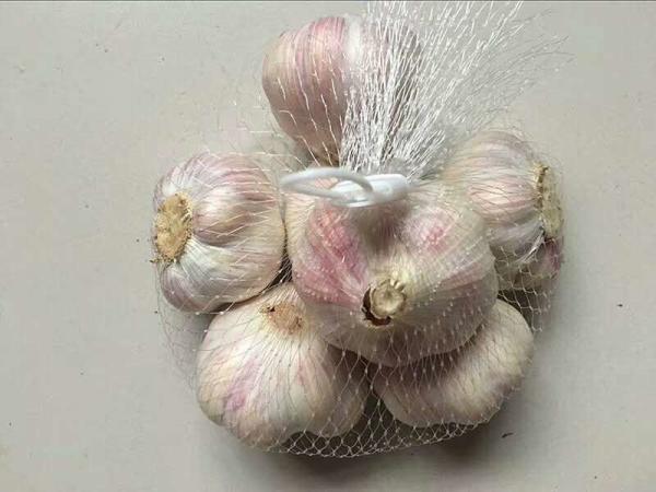 Ginger Packaging Mesh Netting Bags PE Material Extruted Bottom Sealed UV Resistant