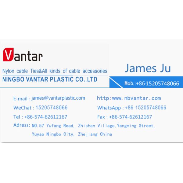 Flexible Plastic Slip Ties Self Locking Standard Sizes Professional Versatile