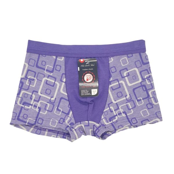 Kids Boxer Briefs Best Price Boys' Youth Breathable Antibacterial Underwear Comfortable and Stylish