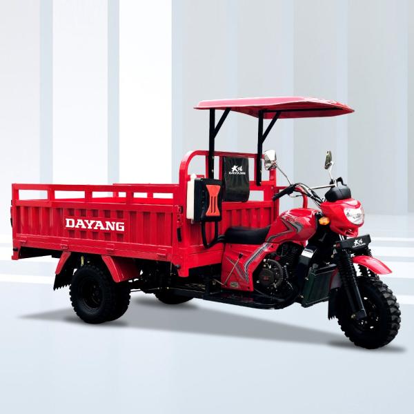 DAYANG 350CC Triciclo motorizado a gas de 5 ruedas refrigerado con agua y certificación CCC