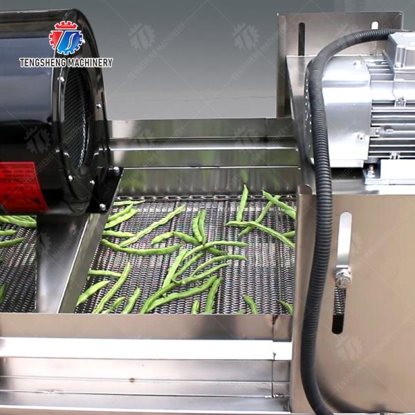Fruit and vegetable washing and vibrating drying production line Fruit Vegetable FOOD processing production Machine Versatile and Durable Fruit Vegetable Processing Line for Your Business Processin