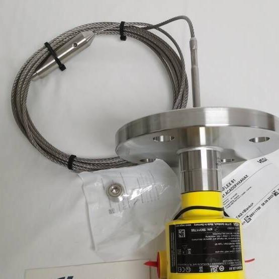 German VEGA guided wave level gauge FX81 cable type continuous level and interlayer measurement level gauge
