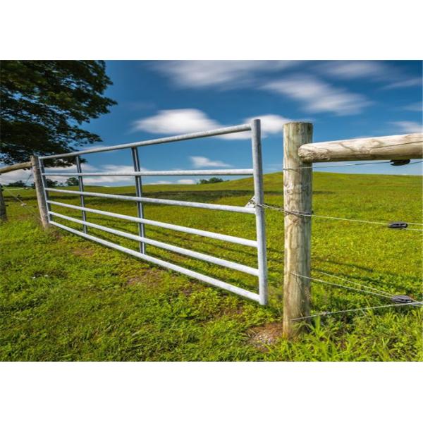 ISO-2001 Anticorrosive Agricultural 12ft Galvanised Field Gate With Hinge