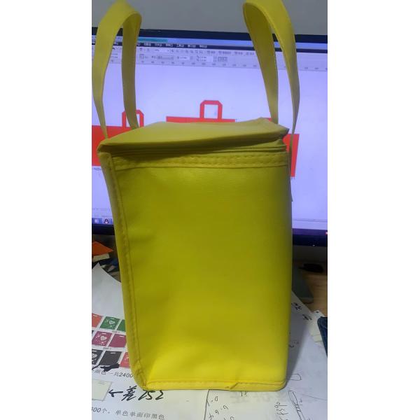 Customized Color Non Woven Insulating Lunch Cooler Shopping Bag for Picnic Ice cream Pack