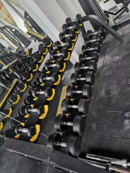 Fitness Equipment Strength Training Indoor Free Weights Rubber Round Dumbbell Set