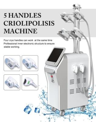 Vertical 4 Cryo Handles Work At The Same Time Cryolipolysis Device Body Sculpt Slimming