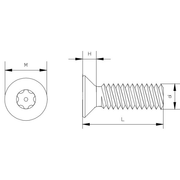 Торкс безопасность нержавеющей стали плоской головки Пин А2-70 привинчивает крепежную деталь металла Т20