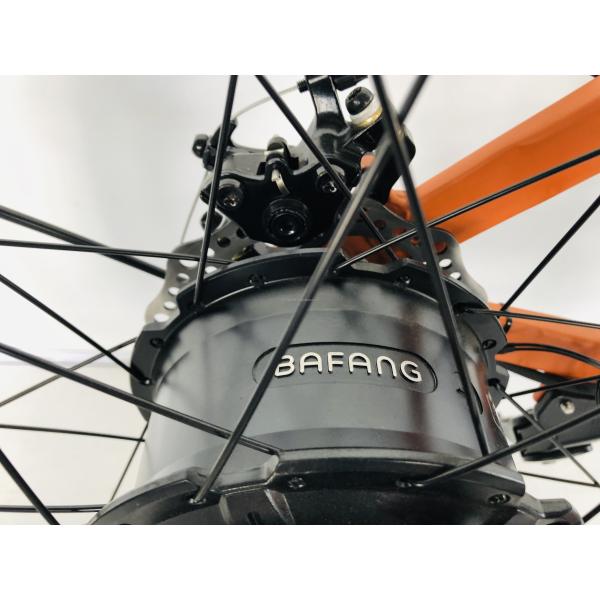 Electric MTB Mountain Bike 26