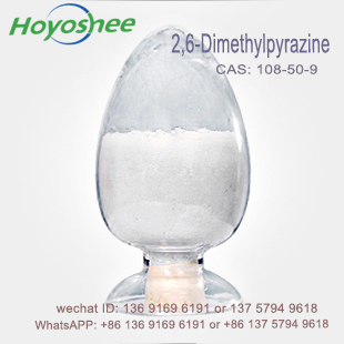 Food / Industrial Grade 99% Purity 2,6-Dimethylpyrazine CAS 108-50-9