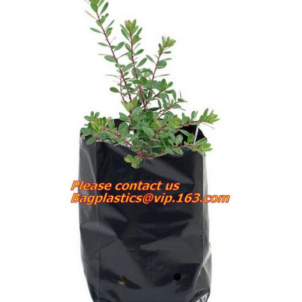 Planter Bags, Grow Bags, Cultivating Bags, Nursery Pot, Greenhouse, Agricultural Film,  Horticulture Garden